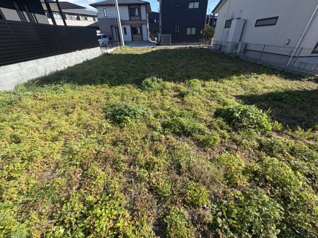 名取市田高字原　6号地