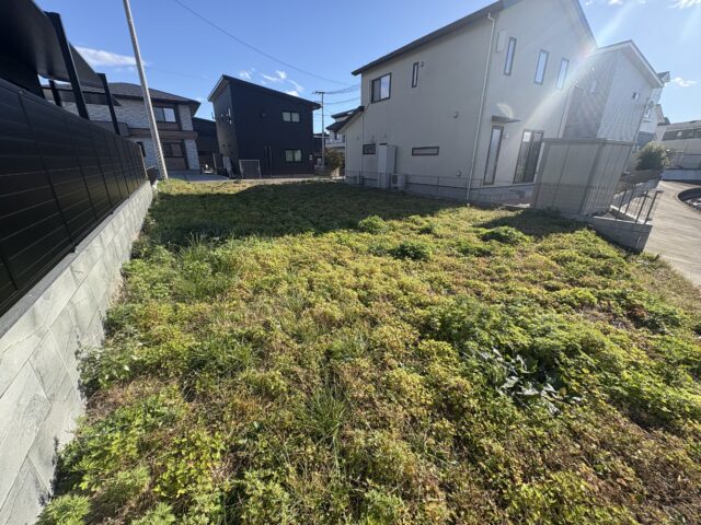 名取市田高字原　6号地