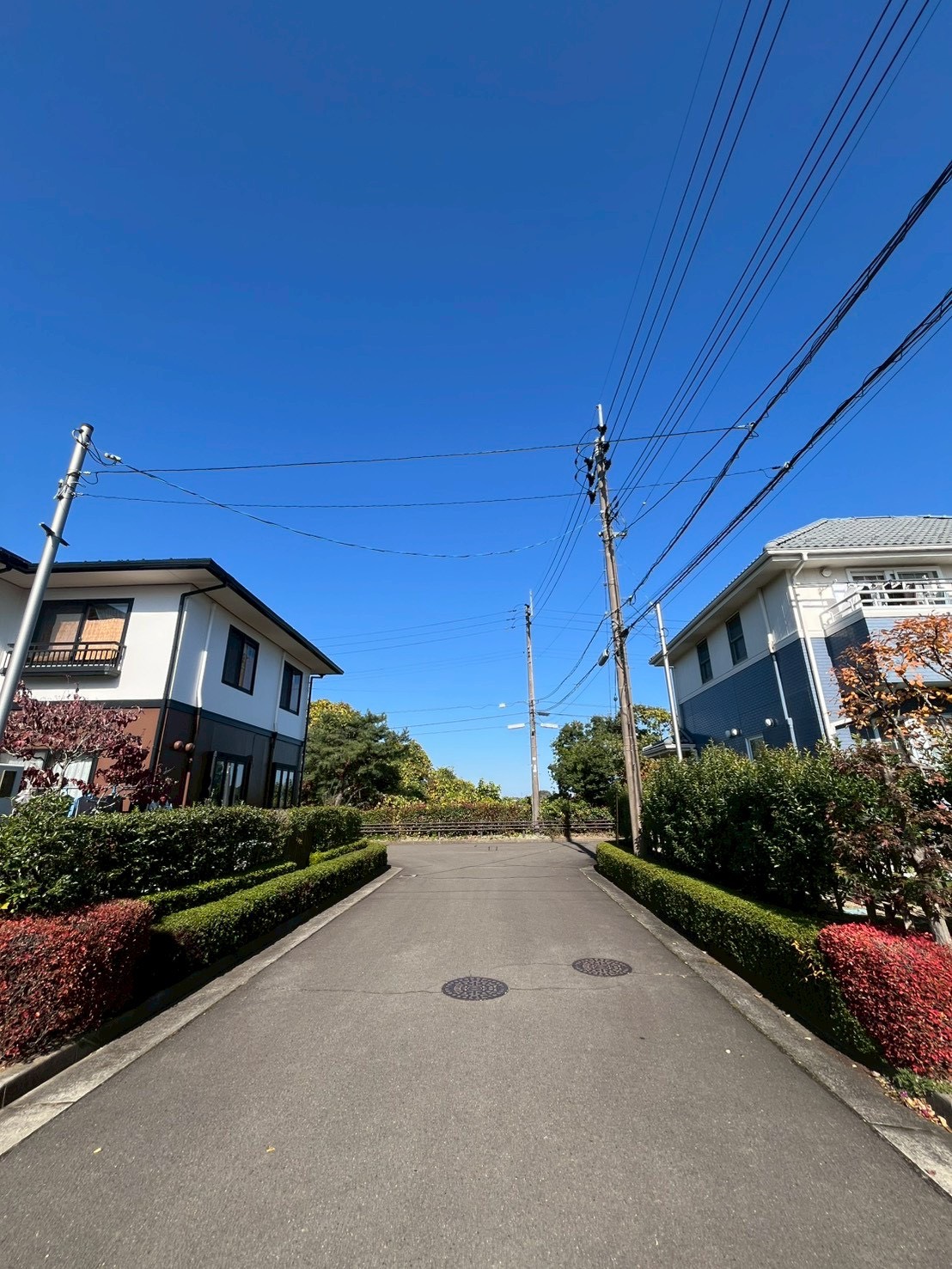泉区桂4丁目