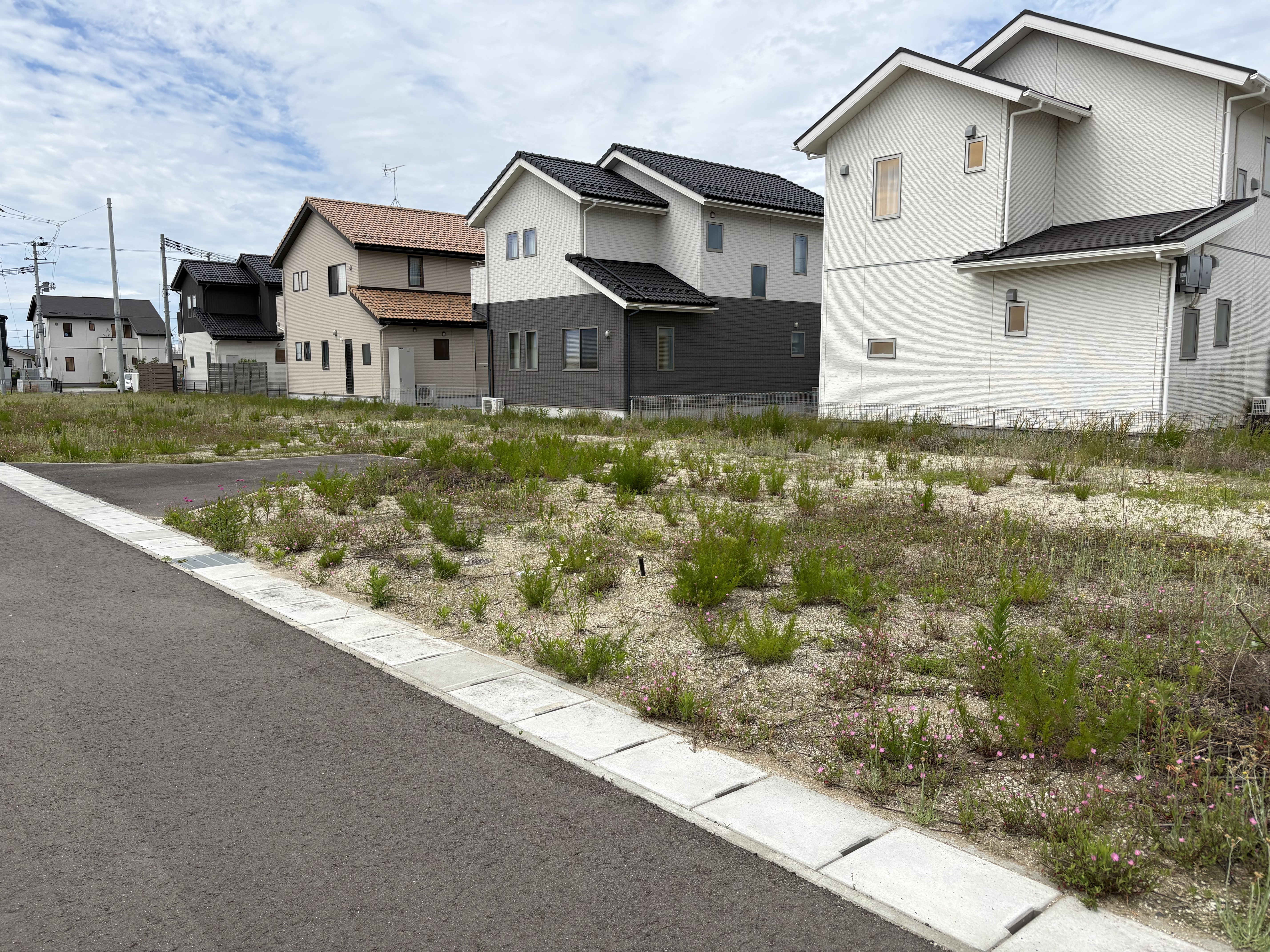 岩沼市押分字奥山